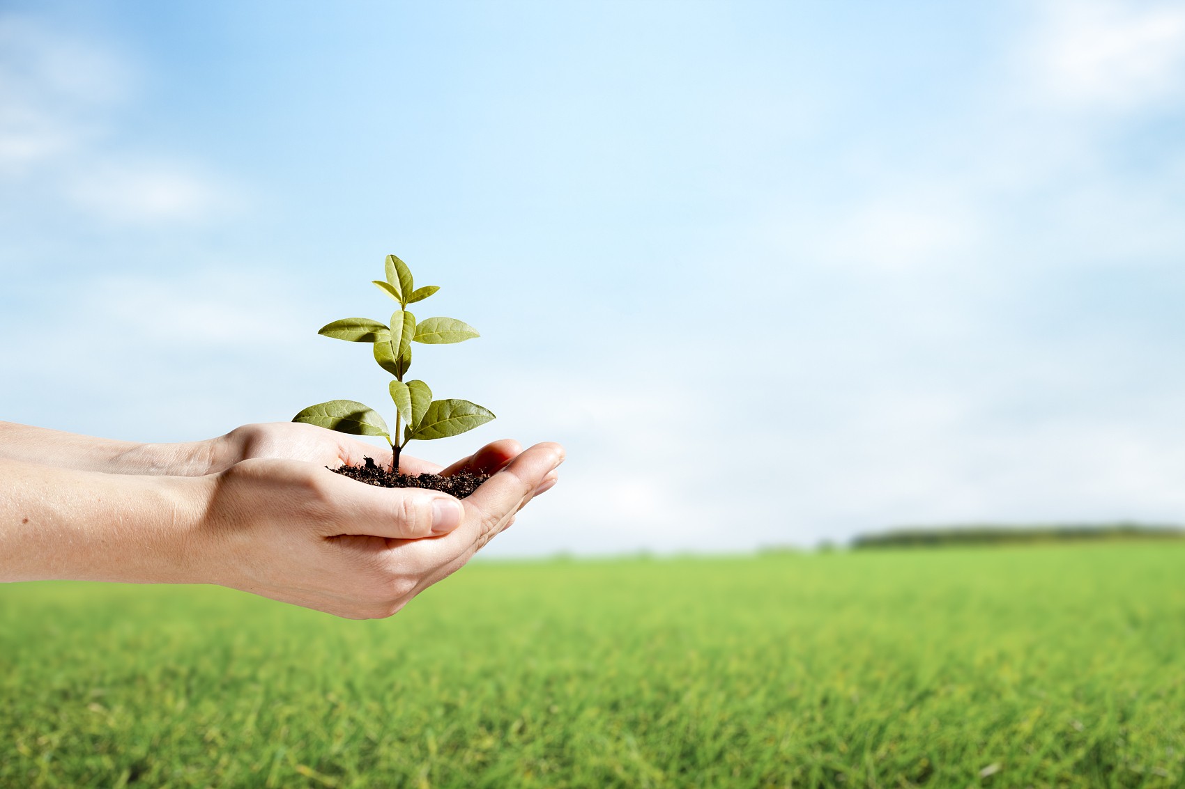 省節(jié)能協(xié)會袁亮秘書長、遂寧檢測公司戴云峰總經(jīng)理一行蒞臨天晟源環(huán)保座談交流