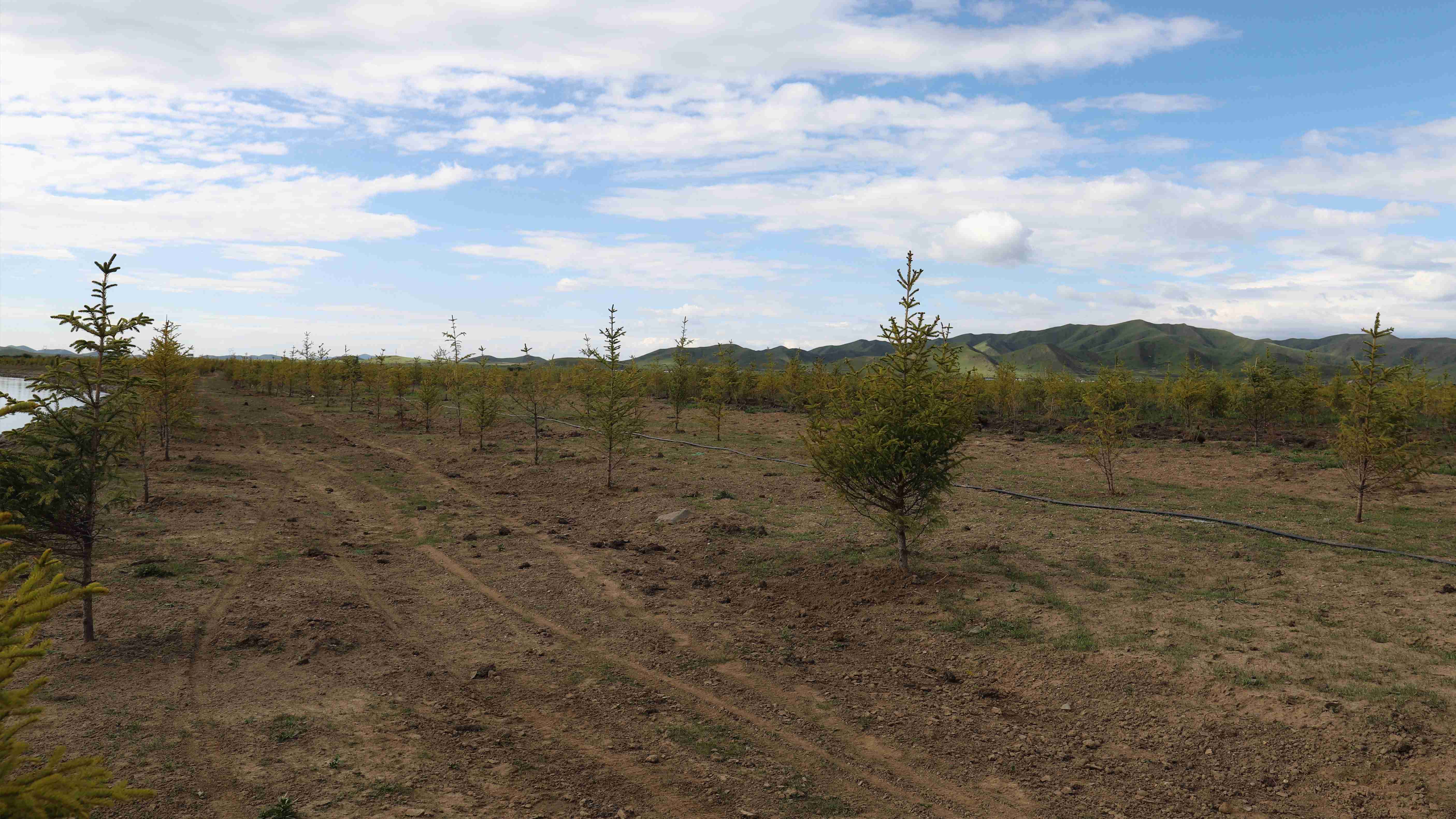 嚴守工程質(zhì)量，筑牢生態(tài)屏障