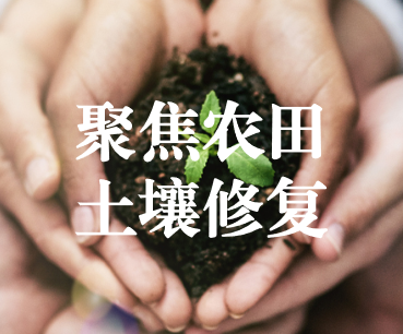 聚焦農(nóng)田土壤修復，保障糧食產(chǎn)品安全 ——踔厲奮發(fā)、篤行不怠，以奮斗之姿獻禮黨的二十大